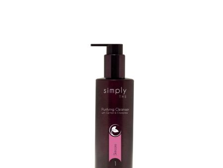 Simply THE Purifying Cleanser Discount