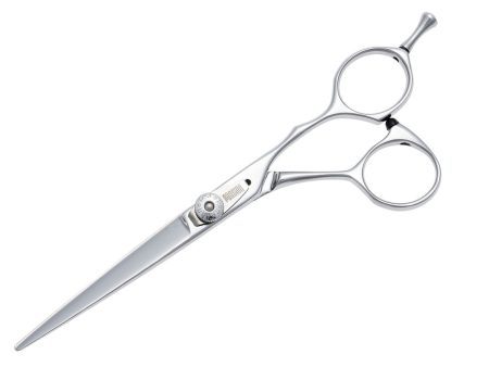 Dowa Stainless Steel Avanti Scissor on Sale