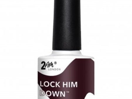 2am Autumn-WInter 2021 Collection Lock Him Down Gel Polish 7.5ml For Cheap