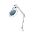 Native Lighting Chameleon Magnifier Lamp Fashion