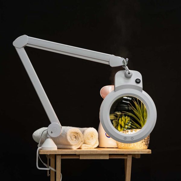 Native Lighting Chameleon Magnifier Lamp Fashion