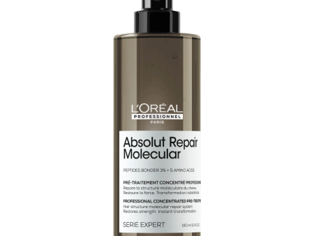 L Oréal Serie Expert Absolut Molecular Pre - Shampoo Treatment 190ml Online Hot Sale