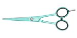 Jaguar Pastell Plus Mint 5.5  Scissor For Discount