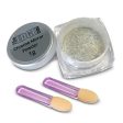 The Edge Nail Mirror Powder in Chrome Fashion