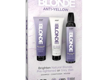 ASP System Blonde Anti-Yellow Gift Set Hot on Sale