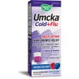 NATURES WAY - Umcka Cold and Flu Berry Syrup - 4 fl. oz. (120 ml) Online Hot Sale