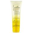 GIOVANNI - 2Chic Ultra-Revive Conditioner Pineapple Ginger - 8.5 fl oz (250 ml) Supply