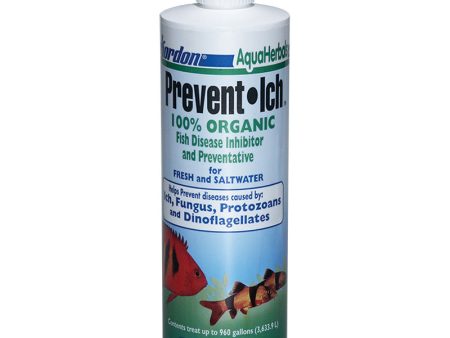 KORDON - Prevent Ich Disease Preventative Inhibitor  - 16 fl. oz. (473 ml) For Discount