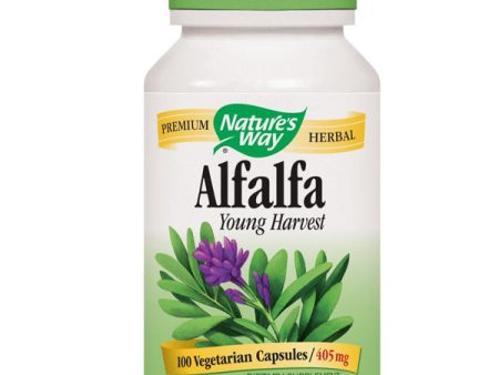 NATURES WAY - Alfalfa Young Harvest 405 mg - 100 Vegetarian Capsules Cheap