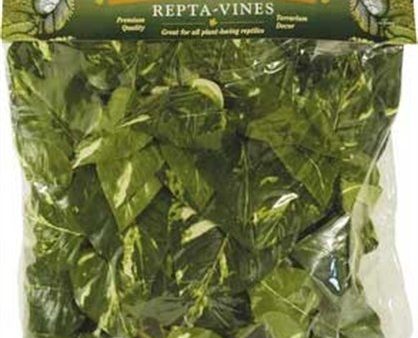 FLUKER S - Repta-Vines Pothos for Reptiles and Amphibians - 6 Feet Long Sale